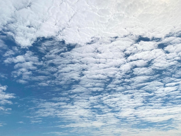 Cloudscapes no fundo do céu azul