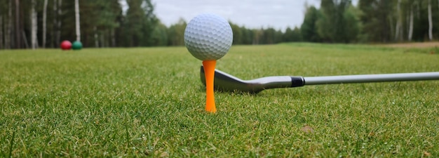 Clube de golfe e bola no conceito de grama