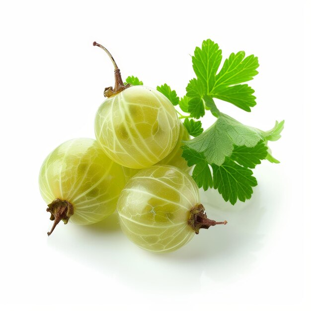 Cluster reifer grüner Stachelbeeren mit einem Blatt-Akzent auf einem weißen Hintergrund