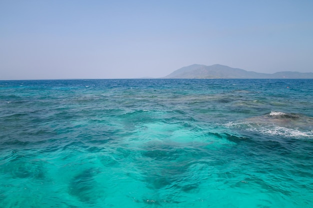 Clústeres oscuros del arrecife de coral vistos bajo aguas turquesas claras Karimun Jawa Island Indonesia