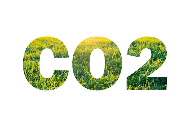 "CO2" auf einem Hintergrund von grünem und gelbem Gras auf weißem Hintergrund