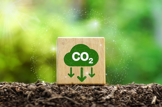 CO2-Reduktions-Symbol auf Holzwürfel CO2-Emissionskonzept Geschäftskonzept für grüne Industriezweige Netto-Null