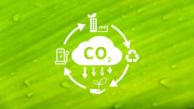 Foto co2-reduktions-symbol mit kreiszeichen zur verringerung des co2-fußabdrucks und des kohlenstoffkredits zur begrenzung der globalen erwärmung durch den klimawandel bio-kreisförmige grüne wirtschaft-konzept