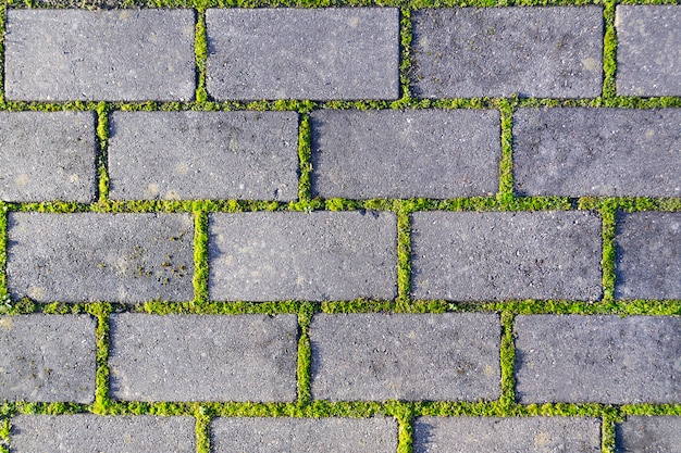 Cobbles close-up com uma grama verde nas costuras. fundo de textura de pavimento de pedra velho