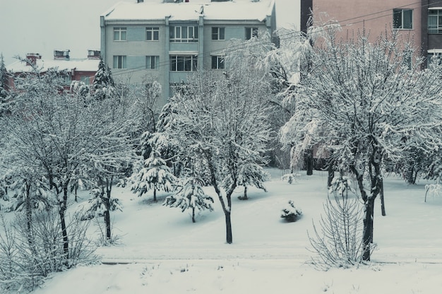 Cobertura de neve no bairro residencial