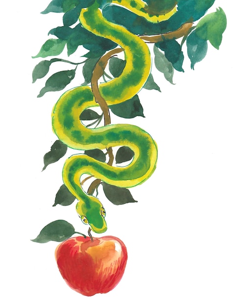 Corte A Fruta Da Serpente E Uma Fruta Completa Da Cobra PNG Imagens  Gratuitas Para Download - Lovepik