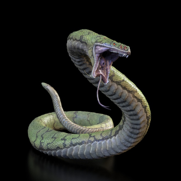 Cobra com uma ilustração de mouth.3d aberta.