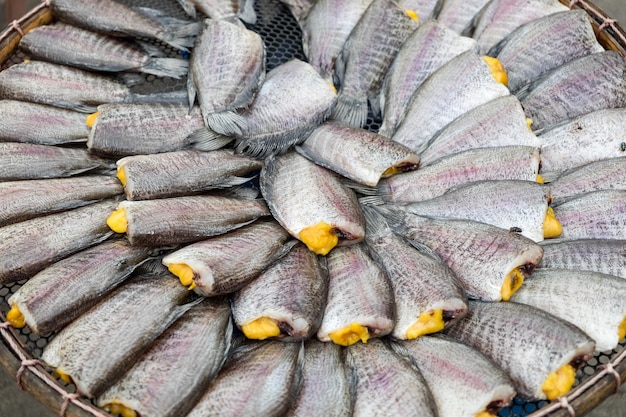 Foto cobra gourami fishpla salit fishtrichogaster pectoraliscobertura seca cozinha local