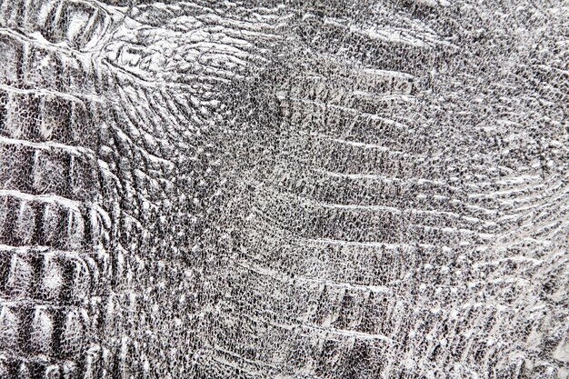 Foto cobra ou crocodilo da textura da pele do réptil