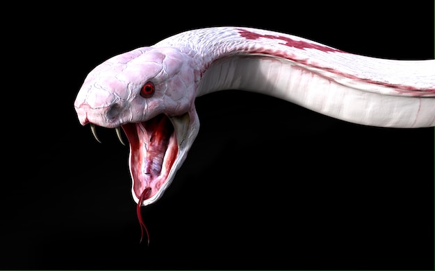 Cobra rei cobra 3d albino mais longo do mundo venenosa