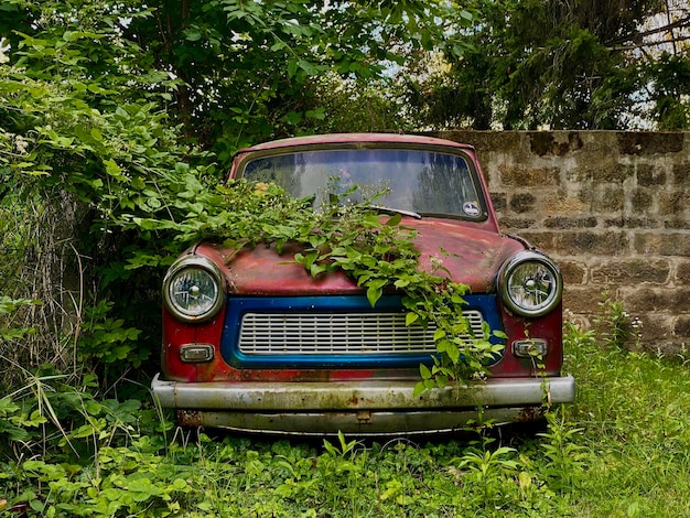 Foto coche abandonado en el campo