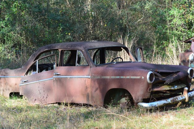 Foto coche abandonado contra las plantas