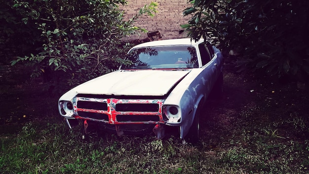 Foto coche abandonado en el patio.