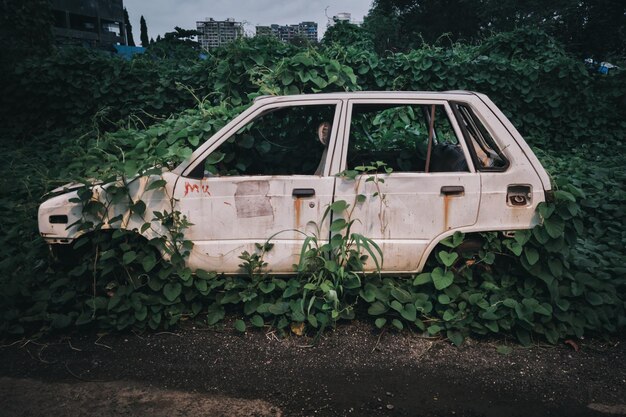 Foto coche abandonado en tierra