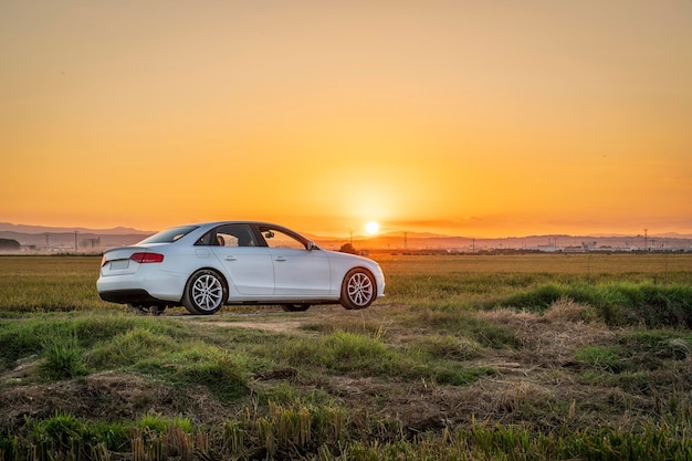 Foto coche al atardecer entre los arrozales del parque natural de la albufera de valencia