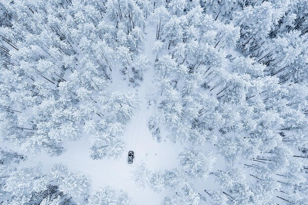 coche en el bosque de la tarde en invierno, vista superior, helicóptero, foto aero, paisaje bosque de invierno