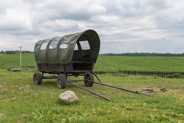 Coche de caballos antiguo con toldo en un campo verde