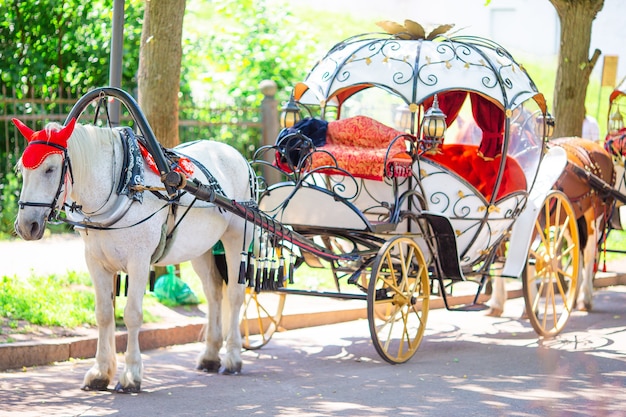 Foto coche de caballos tradicional fiaker en europa