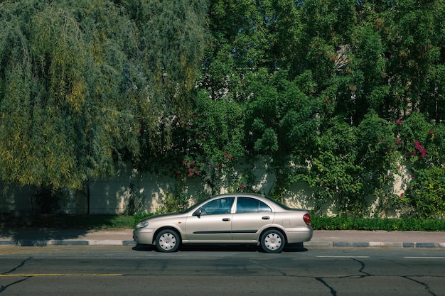 Foto coche en la calle contra los árboles en la ciudad