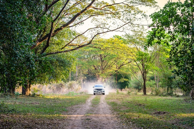 Coche en el camino forestal, viajes de aventura.