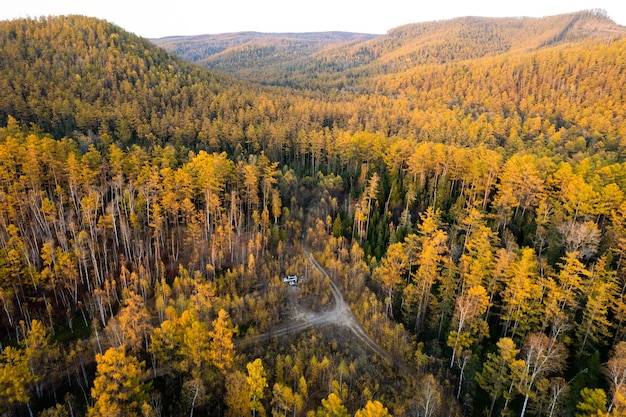 Coche de camping en el bosque de otoño Drone wiev