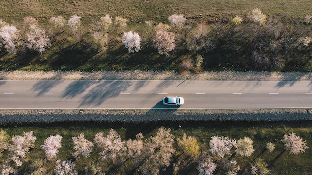 Un coche en una carretera rural