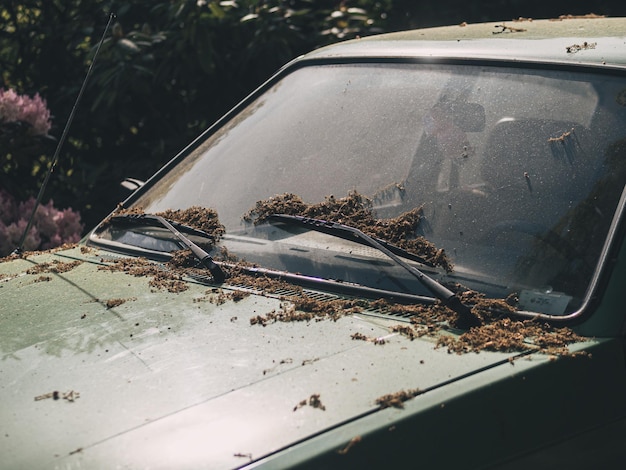 Foto coche en la carretera