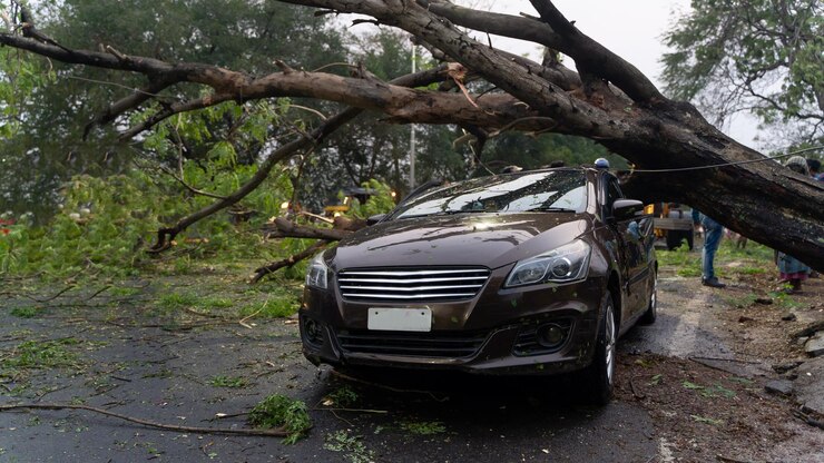 Coche dañado por la caída de un gran árbol durante la lluvia