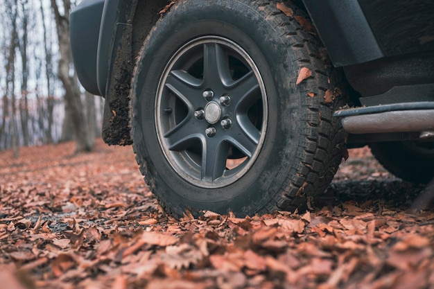 Foto el coche se encuentra en el bosque.