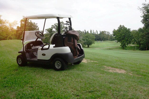 Foto coche de época en el campo