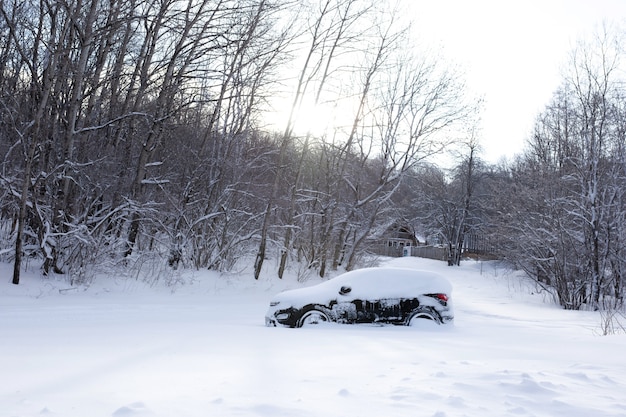 El coche está en el bosque lleno de nieve en invierno. Enfriamiento global. Apocalipsis de nieve.