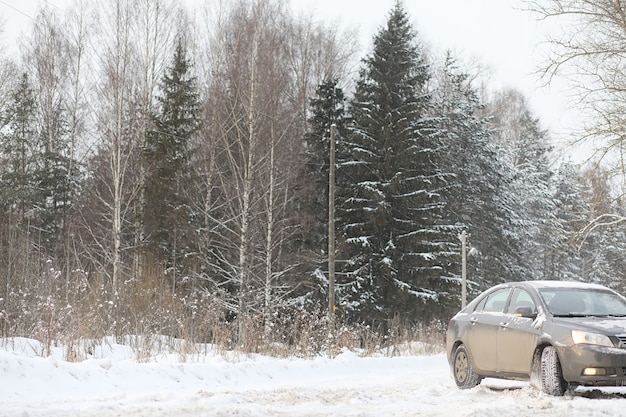 El coche está gris en la carretera en el bosque. Un viaje al campo en un fin de semana de invierno. El coche en la carretera frente al parque de invierno.