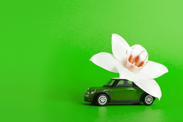 Coche de juguete ofrece una flor blanca sobre un fondo verde. concepto de entrega de flores. Día Internacional de la Mujer 8 de marzo, Día de San Valentín