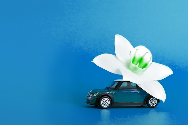 Coche de juguete ofrece una flor blanca sobre un fondo verde. concepto de entrega de flores. Día Internacional de la Mujer 8 de marzo, Día de San Valentín