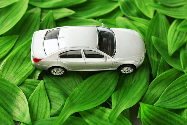 Foto coche de juguete sobre fondo de hojas verdes