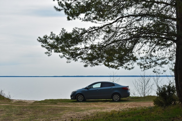 Coche en la orilla del río