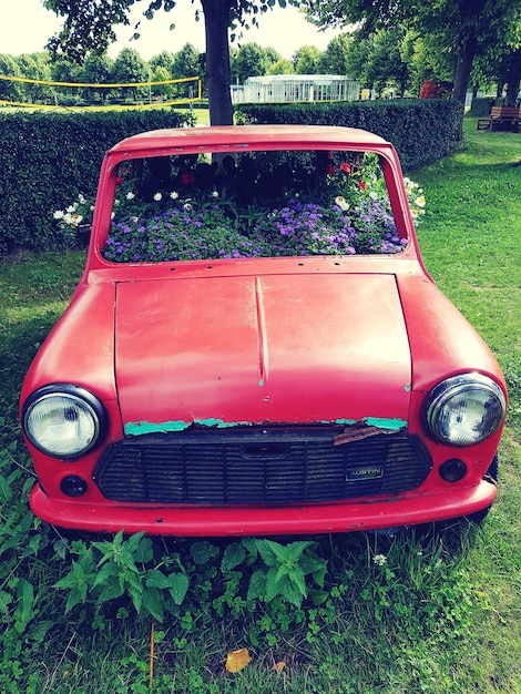 Foto coche rojo de ddr en el parque