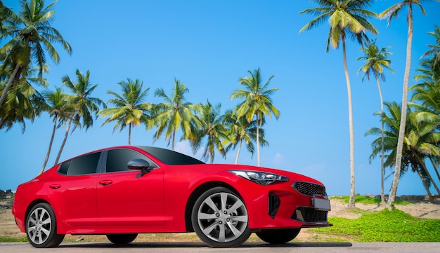 Coche rojo sobre un fondo de palmeras.