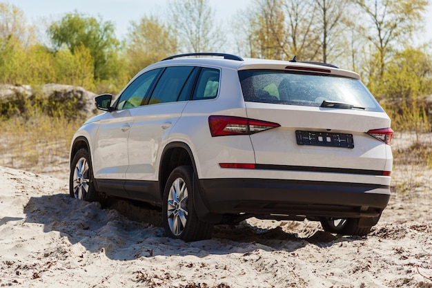 Coche Skoda Kodiaq 20 TDi modelo del año 2017 coche en el campo cerca de una flor