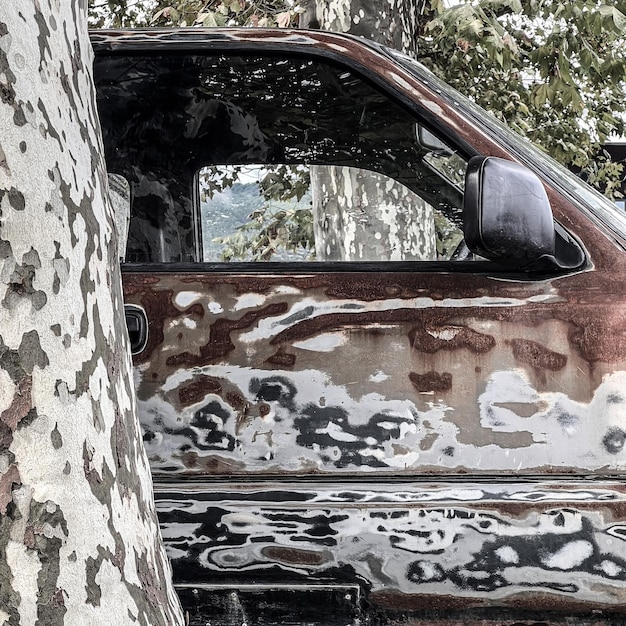 Coche viejo con carrocería despojada a la espera de ser pintado junto a platanus árboles que tienen el mismo aspecto