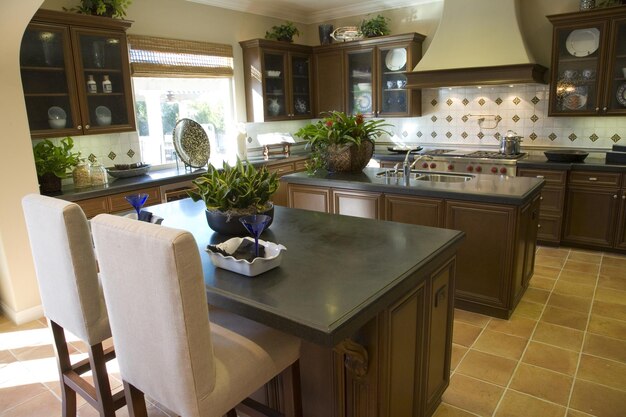 una cocina con una encimera de granito y una planta en maceta en el mostrador