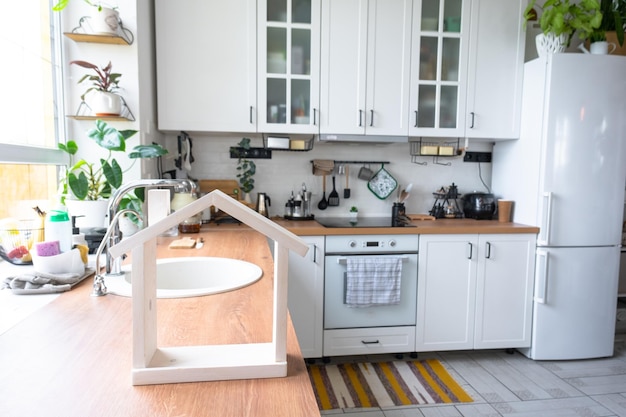 Cocina rústica moderna, blanca y clara, decorada con plantas en macetas, utensilios de cocina estilo loft Interior de una casa con plantas caseras