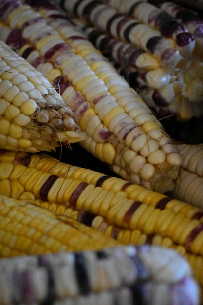 Foto cocina tradicional mexicana