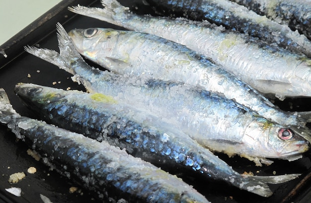 La cocina trajo mar de sardinas frescas recientemente