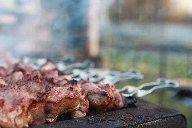 Cocinar barbacoa en la naturaleza