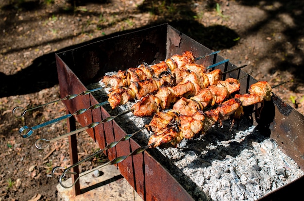 Cocinar barbacoa en la naturaleza.