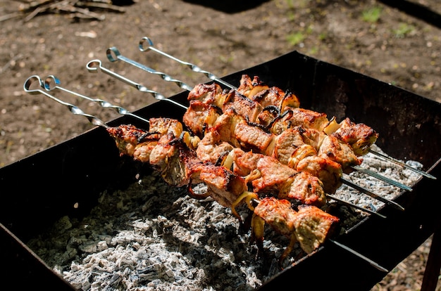 Cocinar barbacoa en la naturaleza.