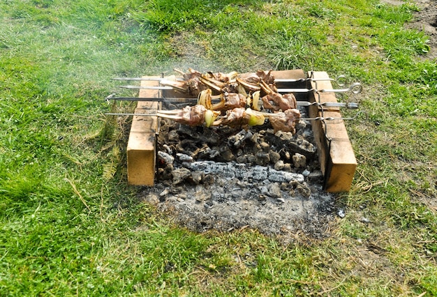 Cocinar carne en brochetas sobre las brasas