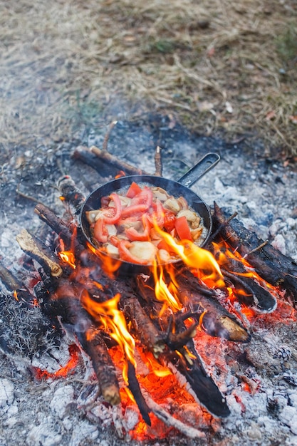 Cocinar champiñones blancos con tomates en una sartén al fuego en el bosque de primavera