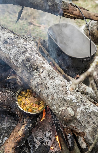 Cocinar comida en la hoguera